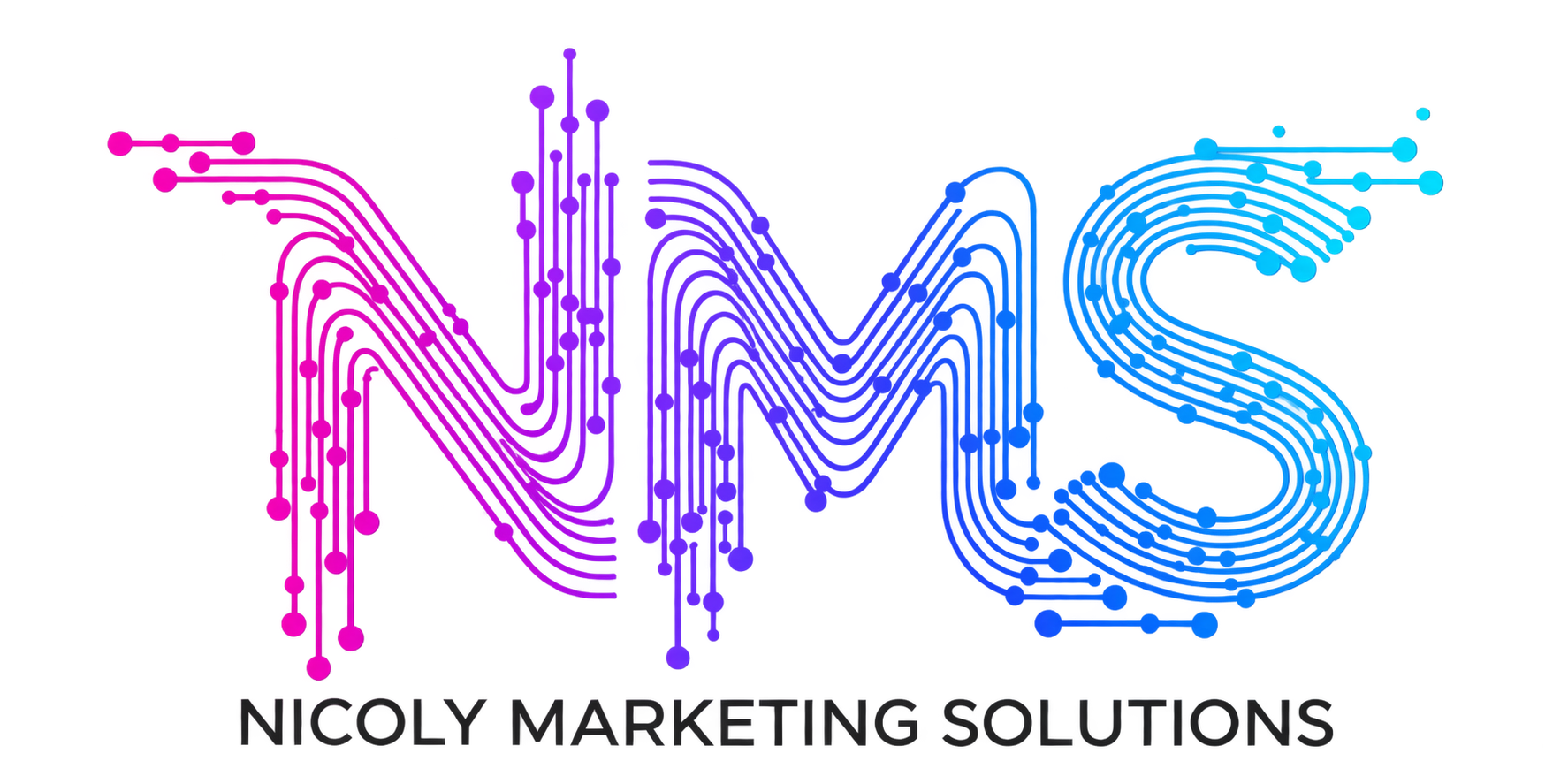NMS — Nicoly Marketing Solutions